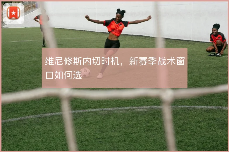 维尼修斯内切时机，新赛季战术窗口如何选